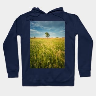 lone tree in the field Hoodie